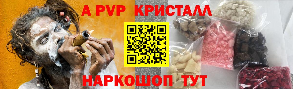 Альфа ПВП СК Химки