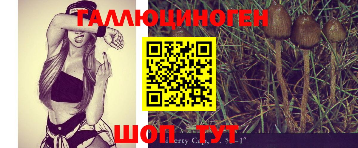 Галлюциногенные грибы Psilocybine cubensis Химки