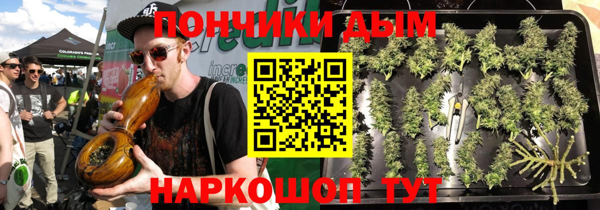 Химки  Бошки марихуана семена  Вход с VPN  Канабис индика  Конопля конопля 